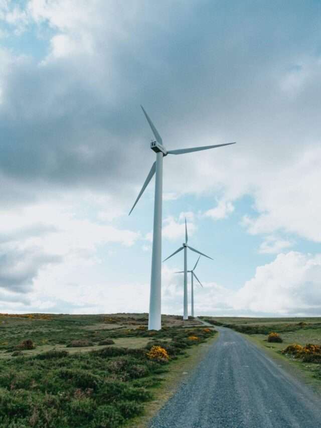 Mission LiFE

Lifestyle for Environment